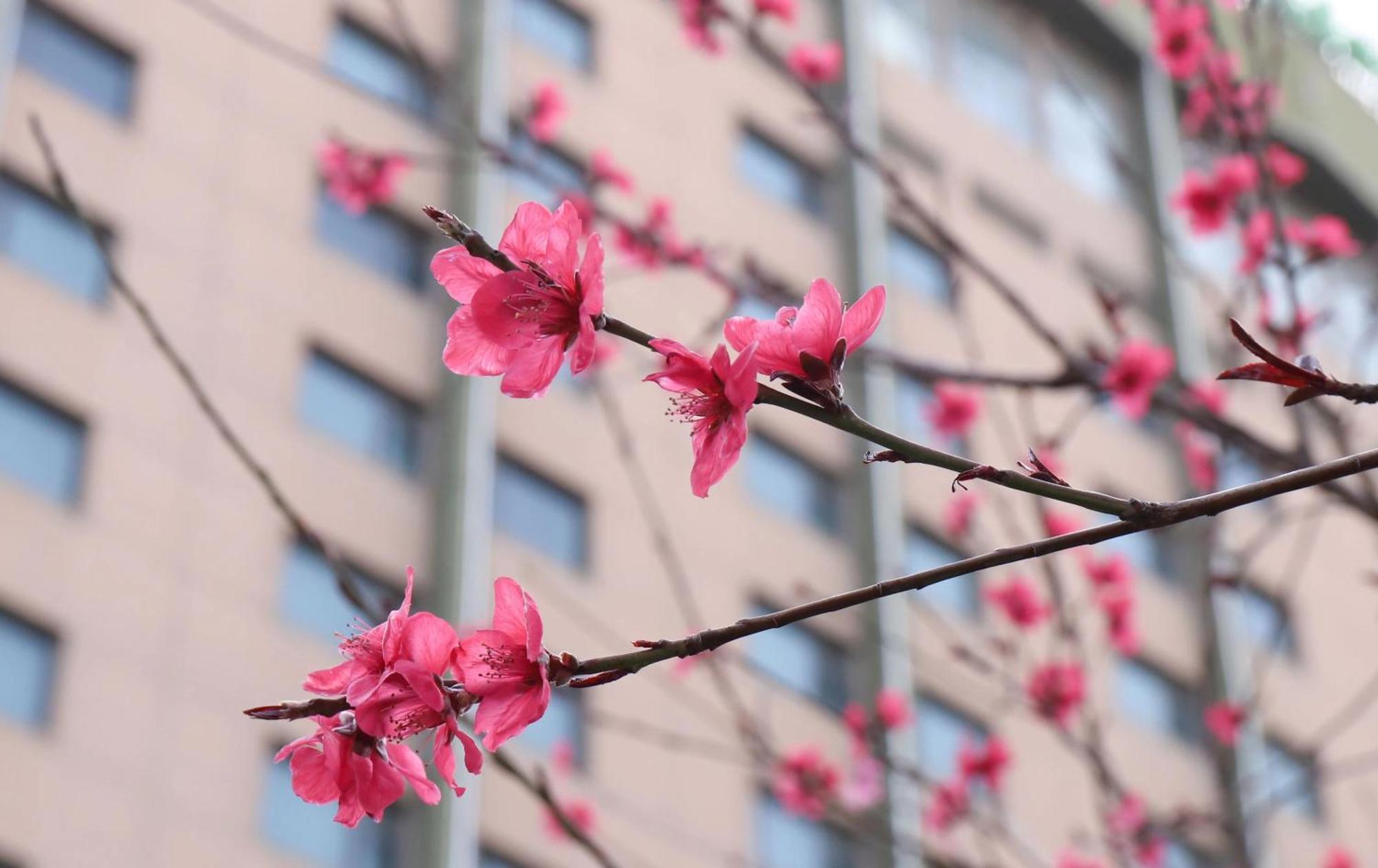 Holiday Inn Express Zhengzhou Zhongzhou By Ihg Εξωτερικό φωτογραφία